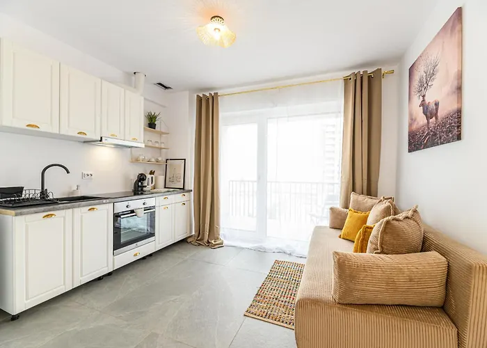 Urban Altitude W Panoramic Skyline Vistas * Braşov