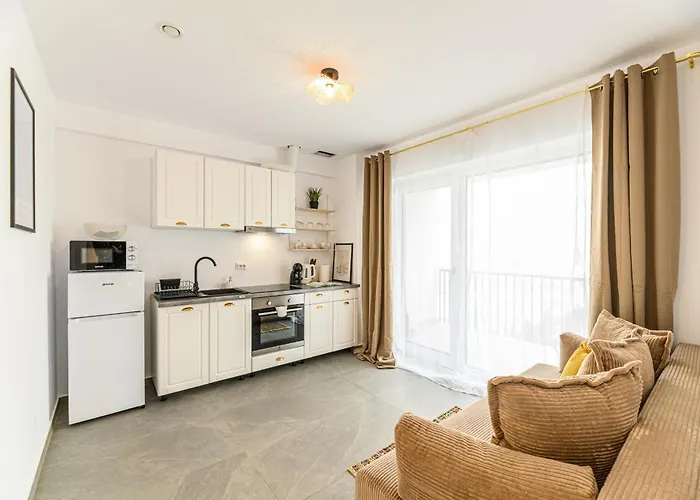 Urban Altitude W Panoramic Skyline Vistas Braşov